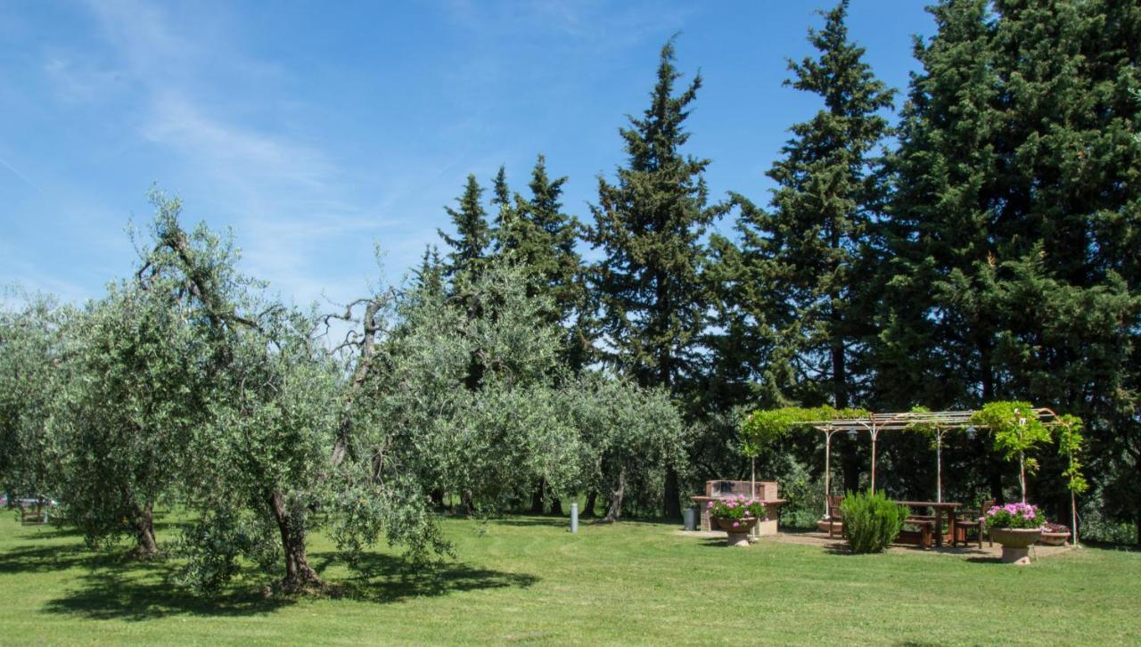 Agriturismo Podere La Casa Palaia Exteriér fotografie